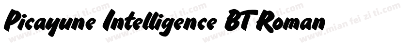 Picayune Intelligence BT Roman字体转换